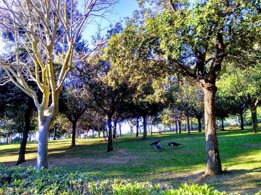 Castelvi Rooms Cagliari Kültér fotó